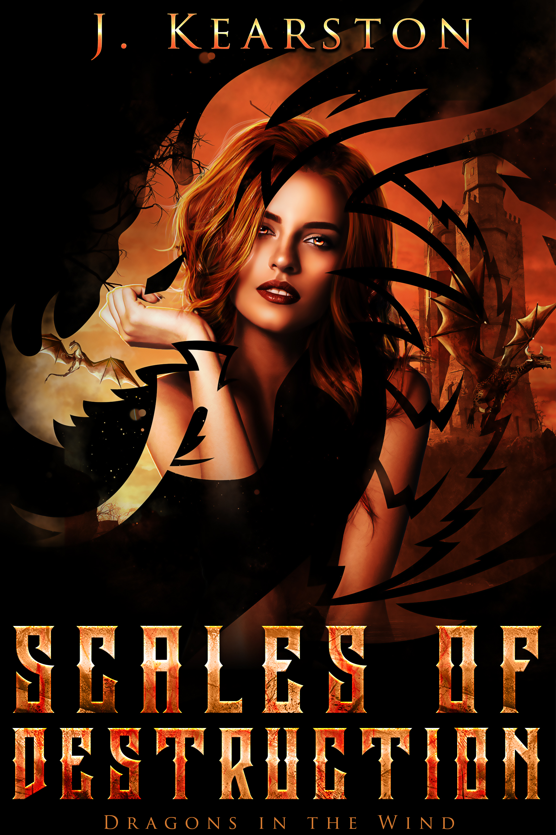 Dragons in the Wind book cover 3