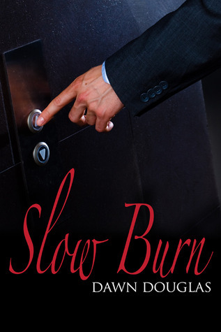 Slow Burn book cover