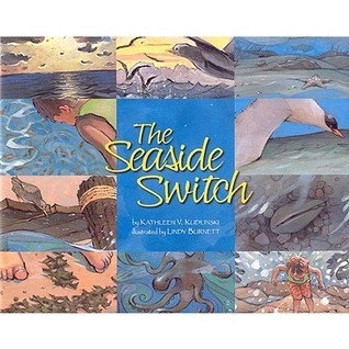 The Seaside Switch book cover