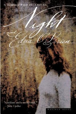 Night book cover