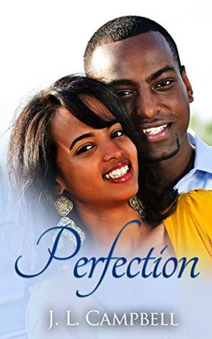 Perfection book cover