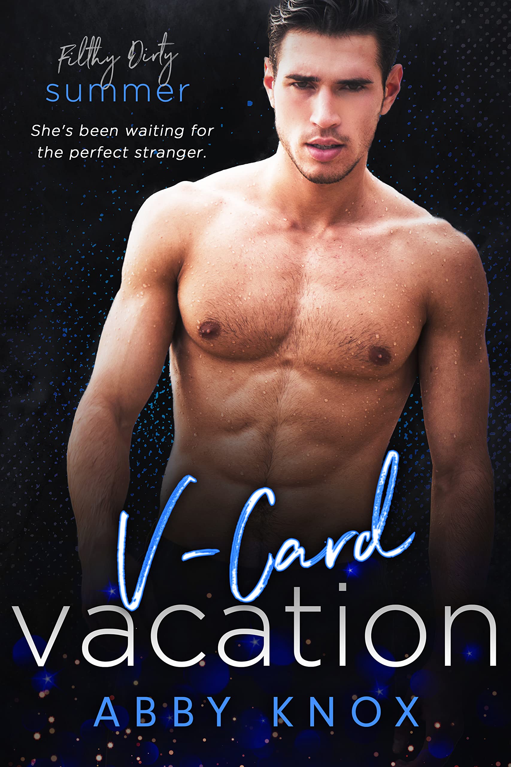 V-card Vacation book cover