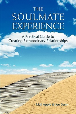 The Soulmate Experience book cover