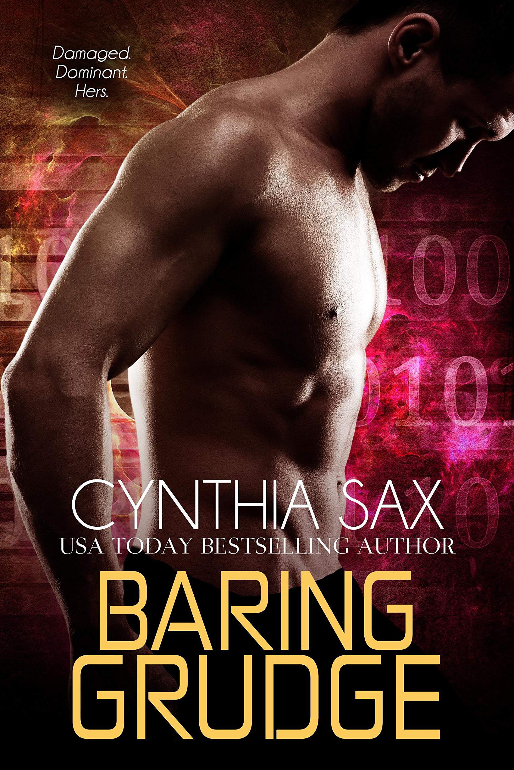 Rebel Cyborgs book cover 3