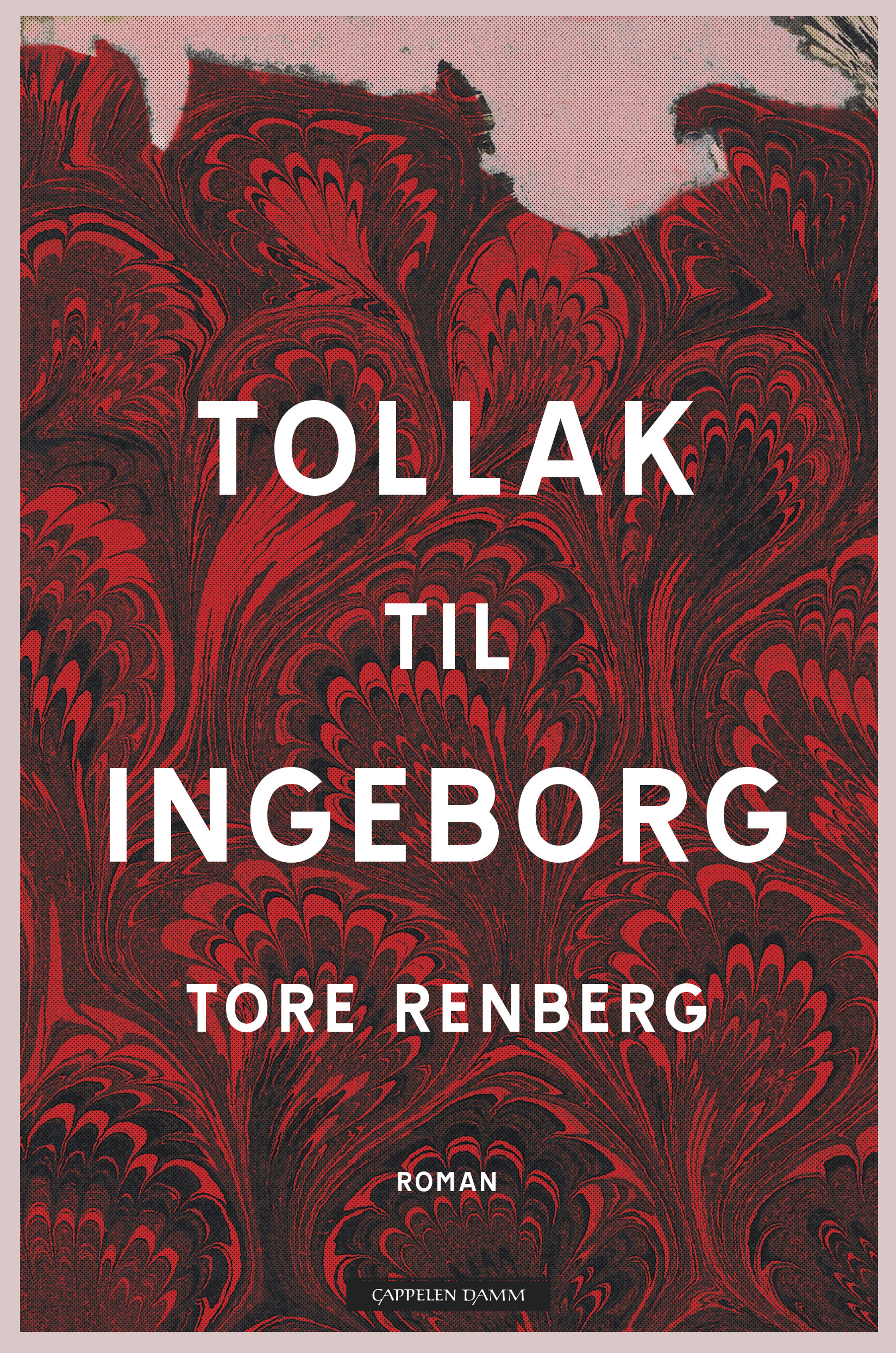 Tollak Til Ingegorg book cover