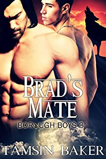 The Borough Boys book cover 3