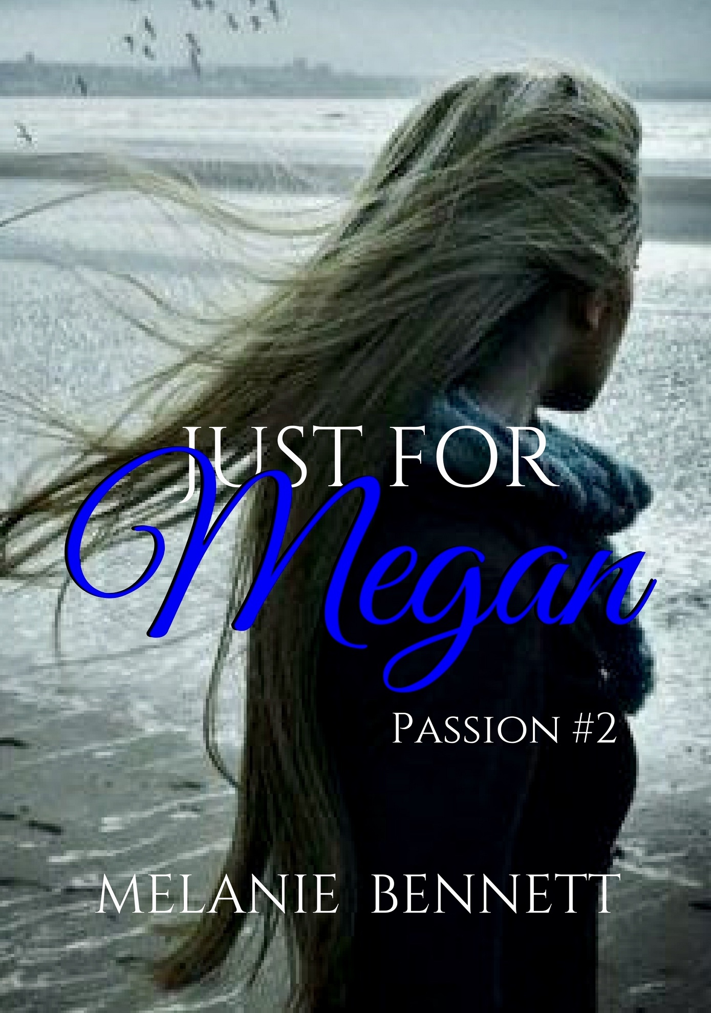 Passion book cover 2