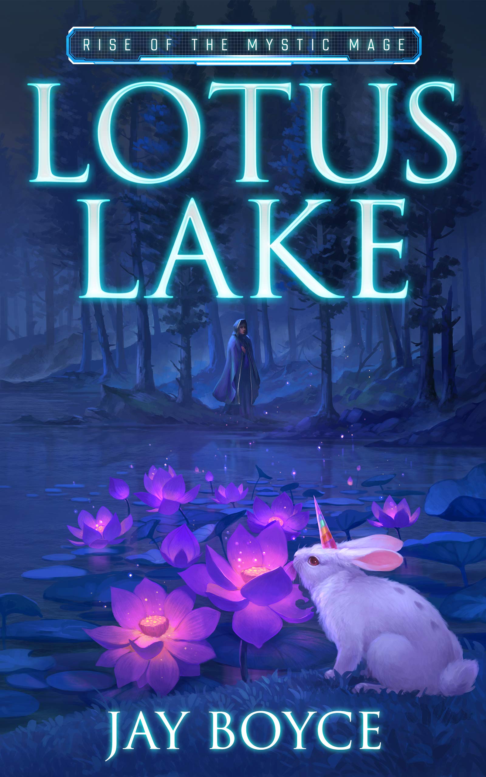 Rise of the Mystic Mage book cover 1