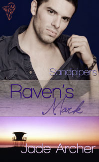 Sandpipers book cover 2