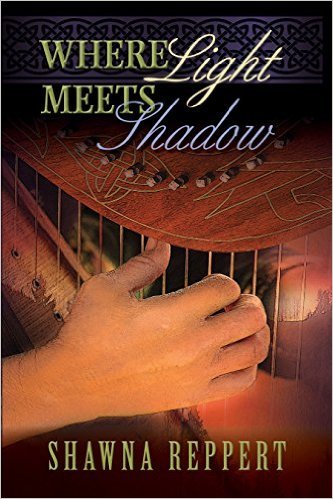 Where Light Meets Shadow book cover