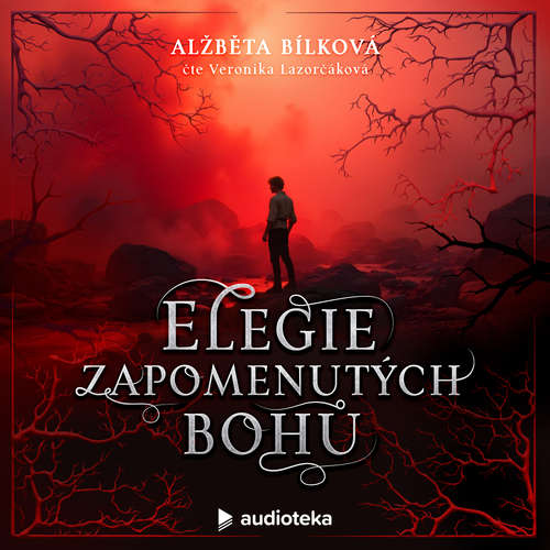 Ozvěny Zlomu book cover 2