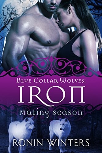 Iron book cover