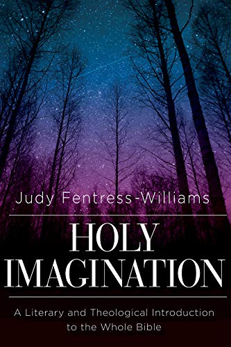 Holy Imagination book cover