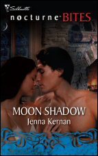 Moon Shadow book cover
