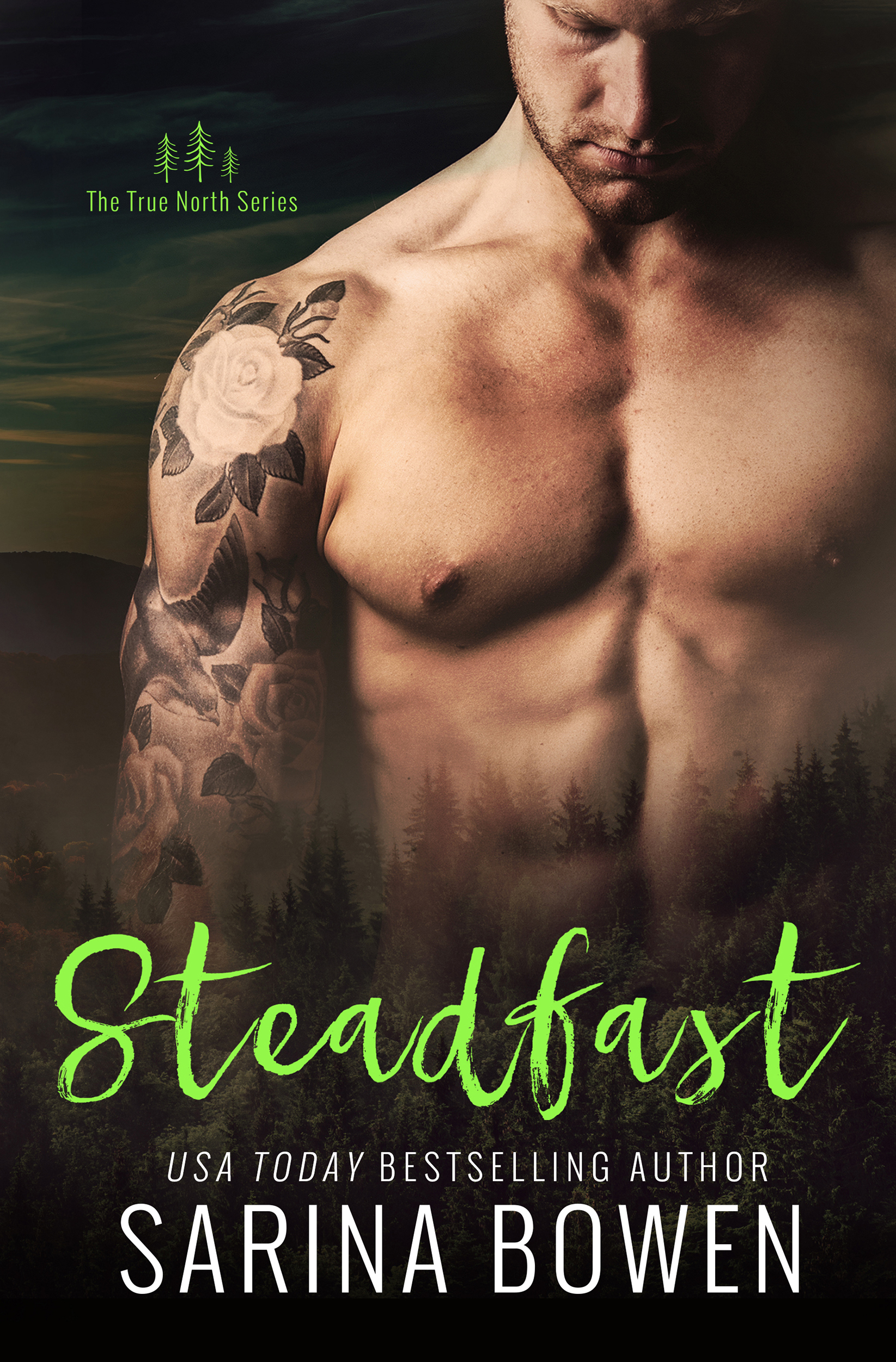 True North book cover 2