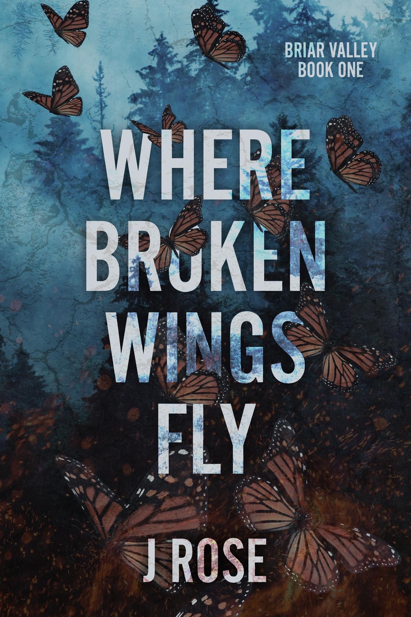 Briar Valley book cover 1