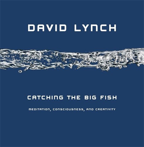 Catching the Big Fish book cover