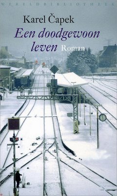 Een doodgewoon leven book cover