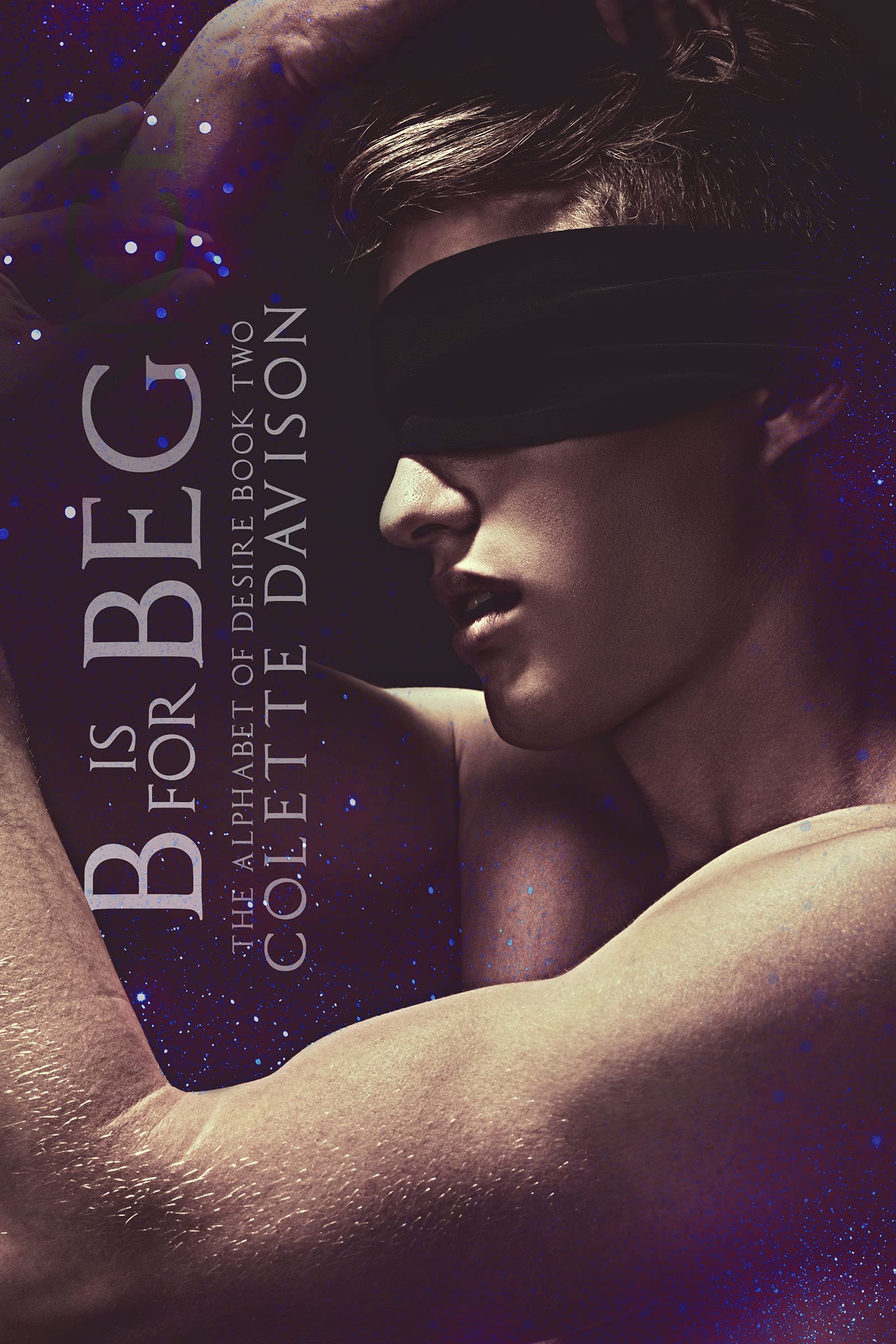 The Alphabet of Desire book cover 2