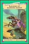 Winds of Light book cover 3