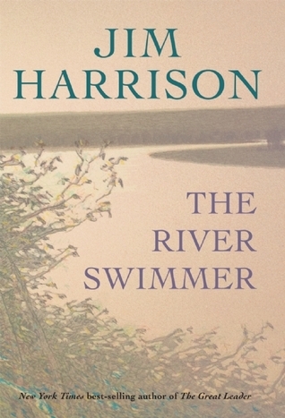 The River Swimmer book cover