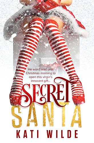 Secret Santa book cover