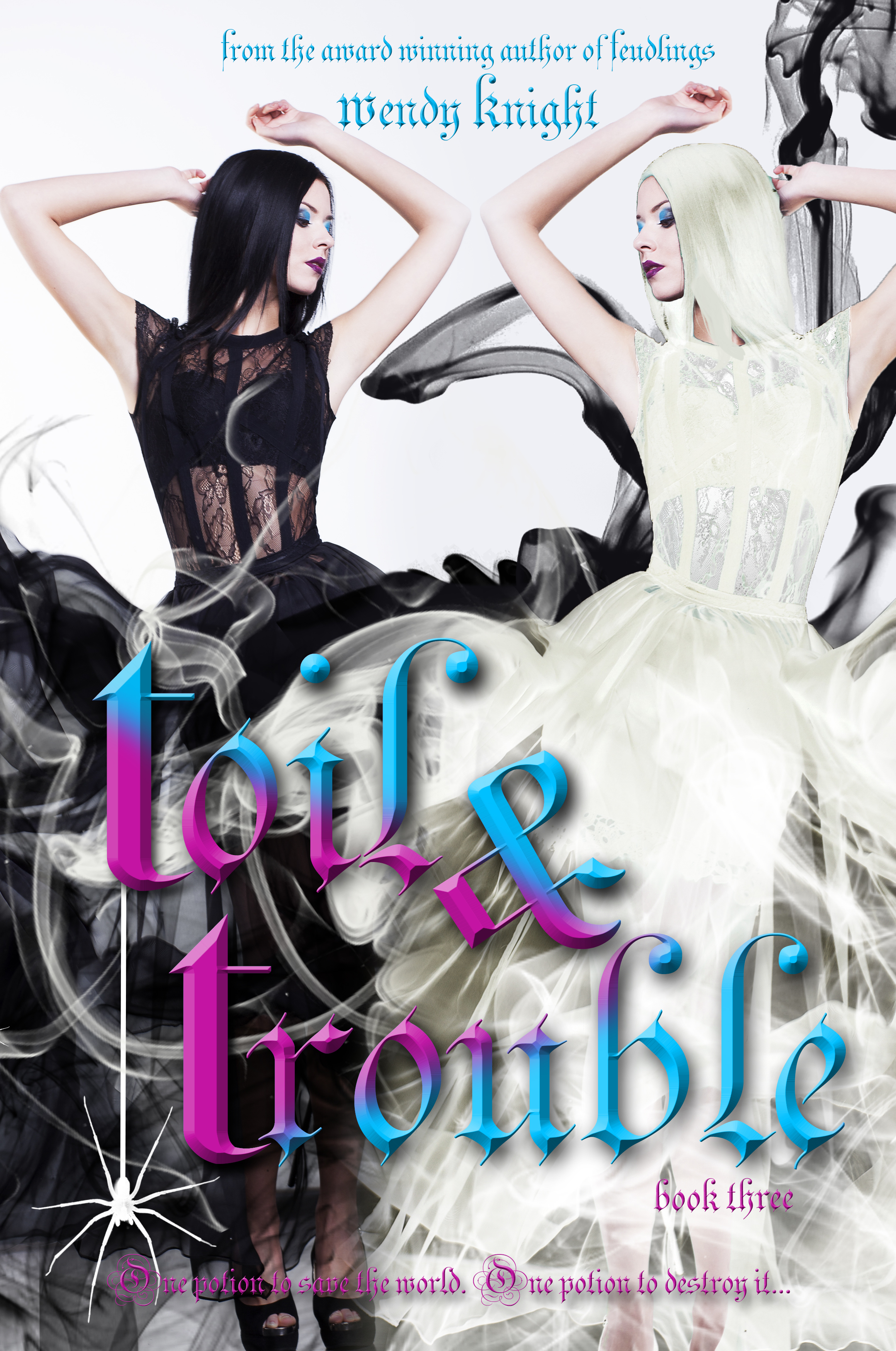 Toil & Trouble book cover