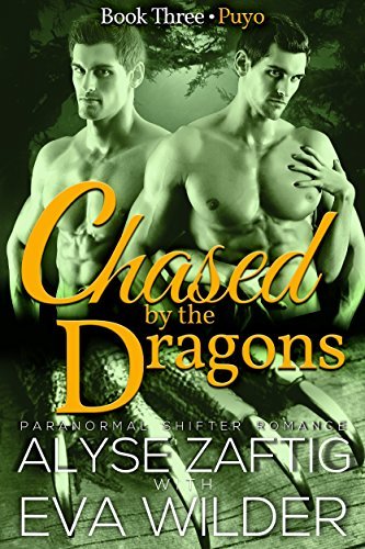Chased by the Dragons of Ecuador book cover 3