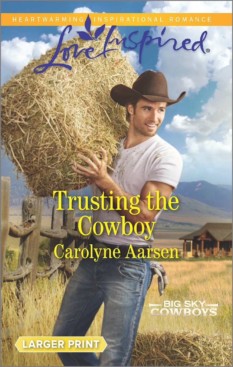 Big Sky Cowboys book cover 2