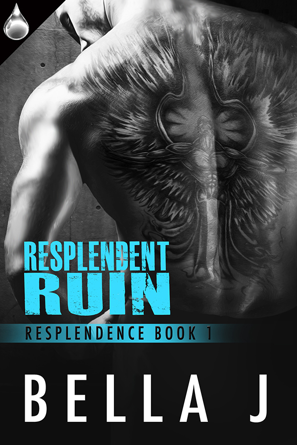 Resplendence book cover 1