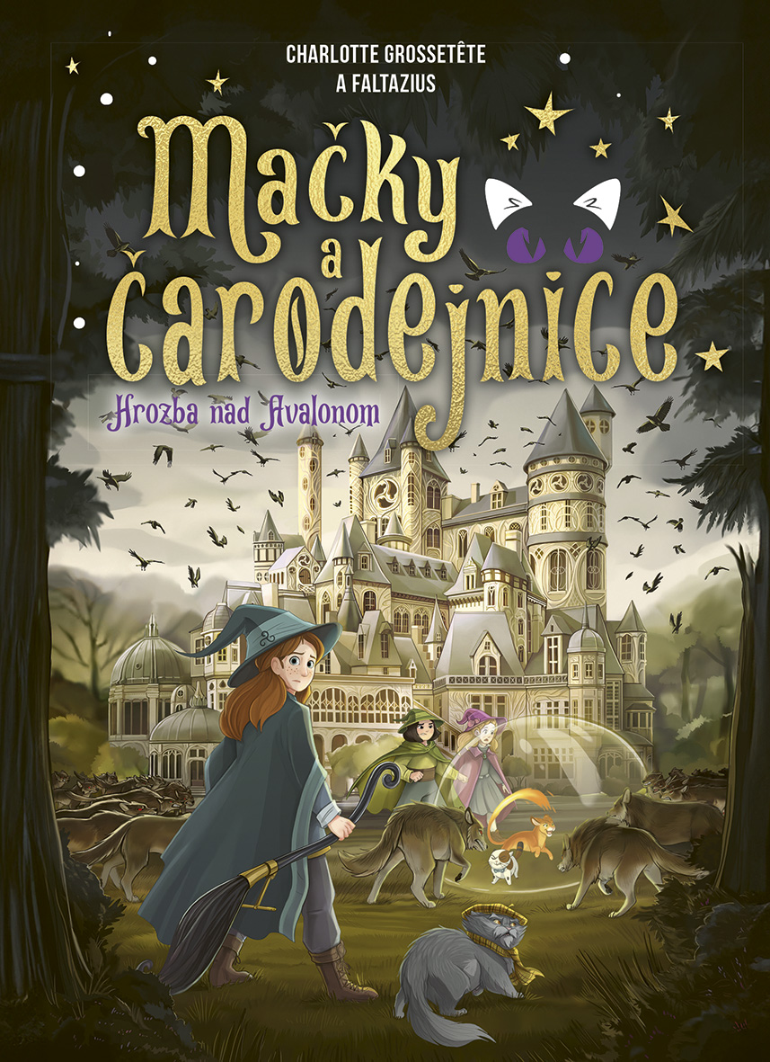 Chats & sorcières book cover 2