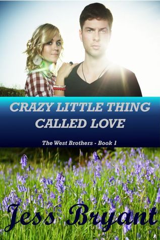 The West Brothers book cover 1