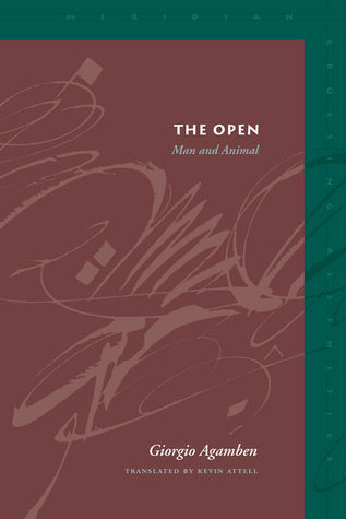 The Open book cover