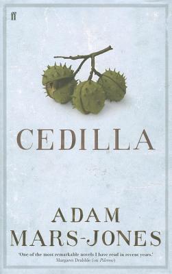 John Cromer book cover 2