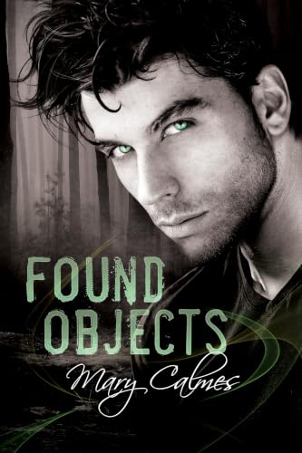 Found Objects book cover