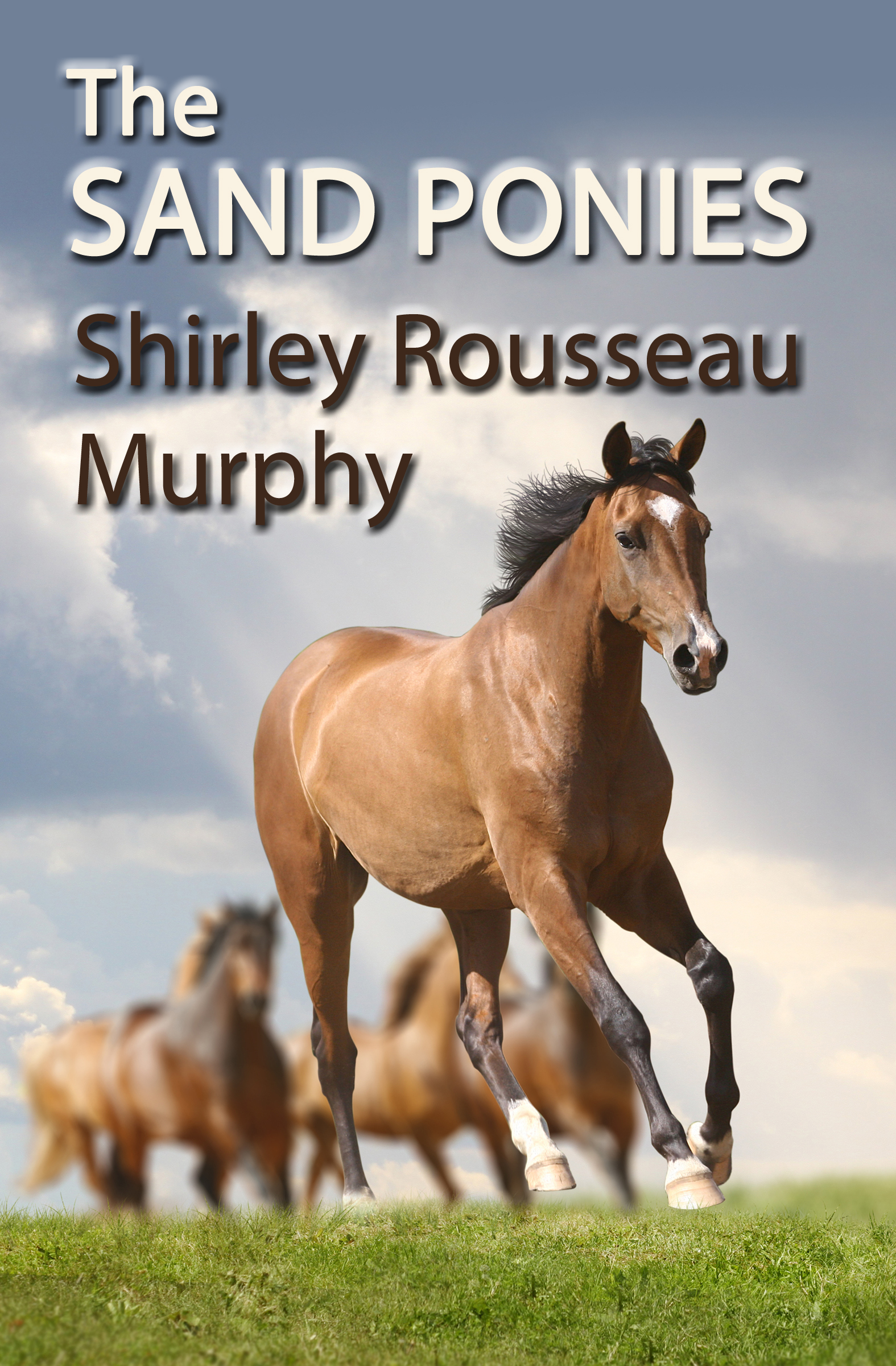 The Sand Ponies book cover