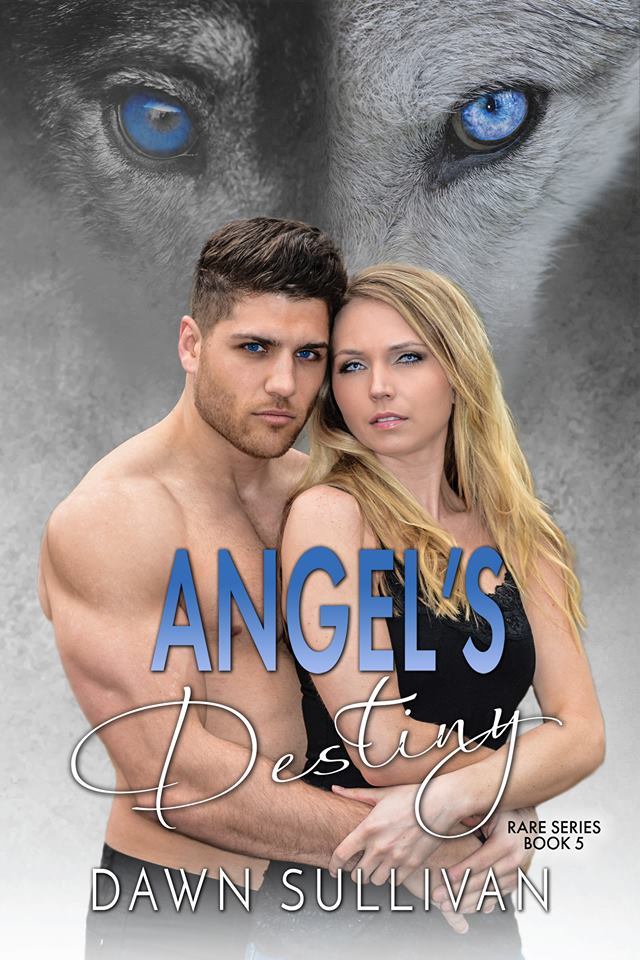 Angel's Destiny book cover