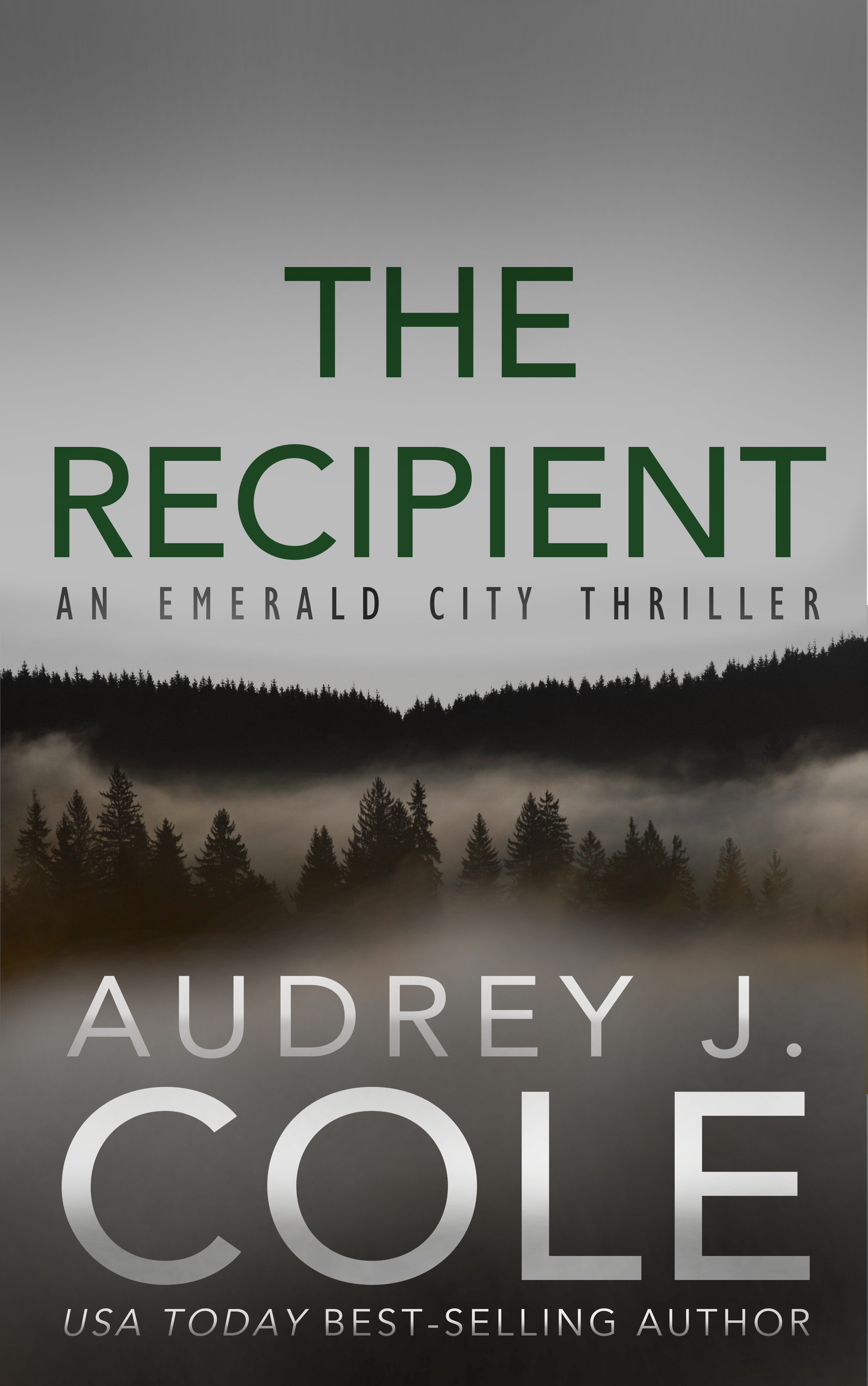 Emerald City book cover 1
