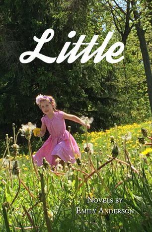 Little book cover