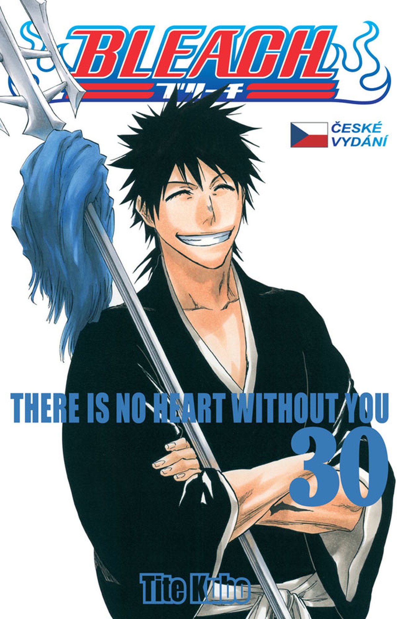 Bleach, Vol. 30 book cover