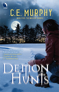 Demon Hunts book cover