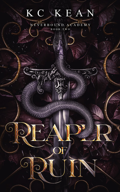 Neverbound Academy book cover 2