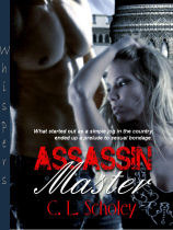 Assassin book cover 3