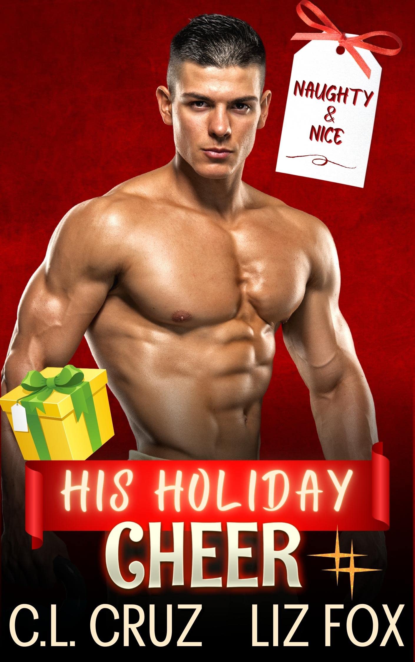 His Holiday Cheer book cover