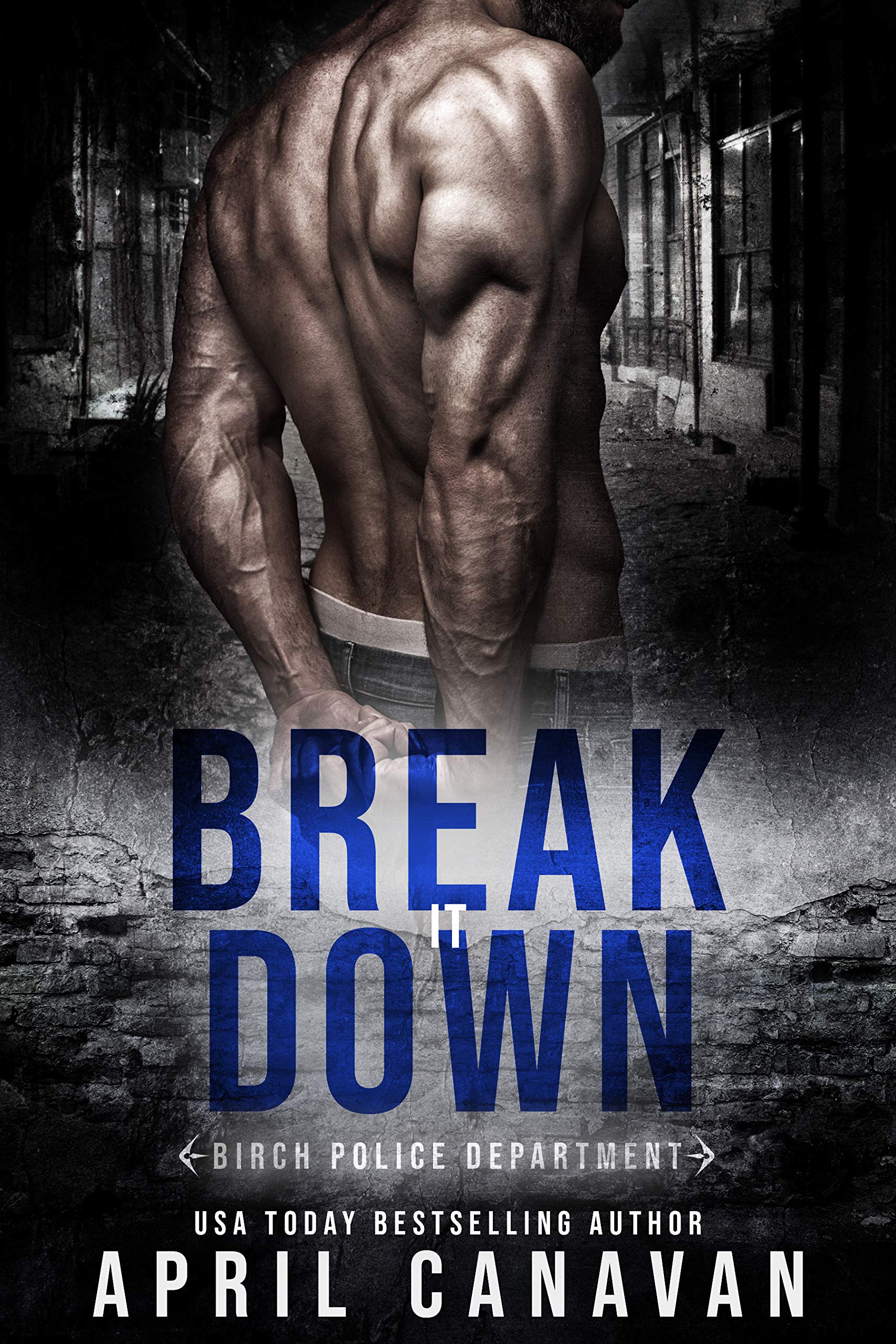 Birch Harbor: Coming Home book cover 3