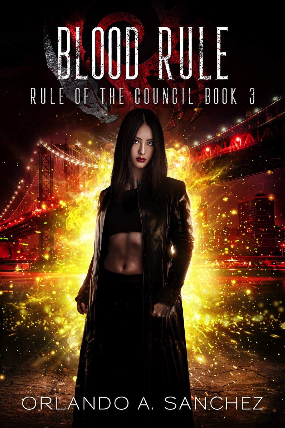 Rule of The Council book cover 3