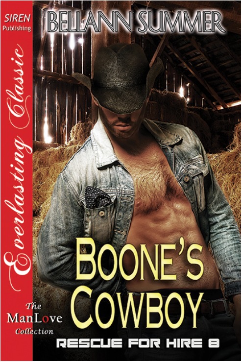 Boone's Cowboy book cover