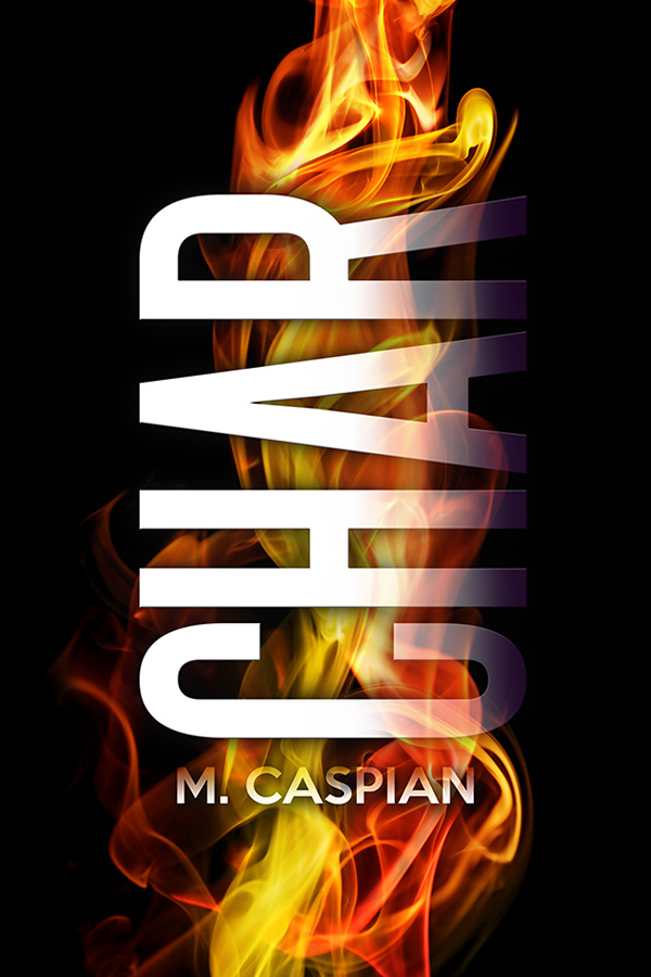 Char book cover