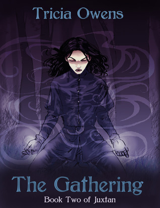 Juxtan book cover 2
