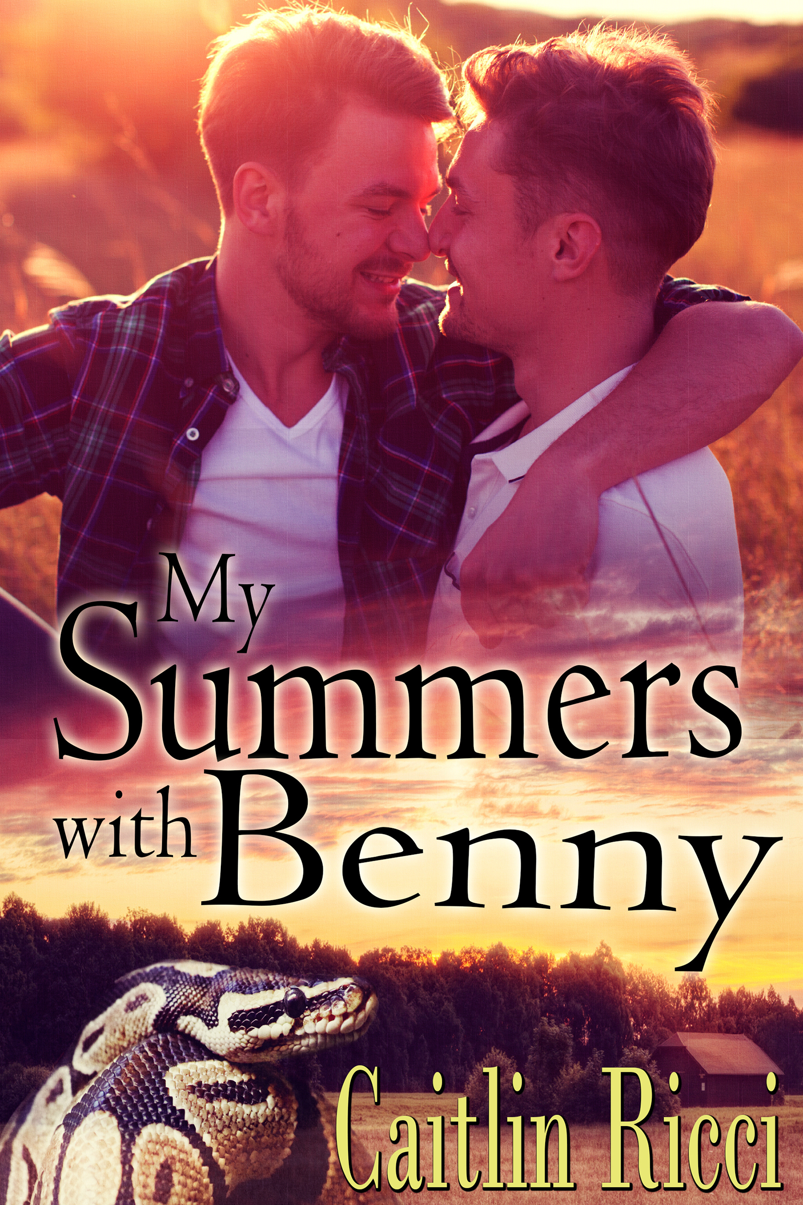 My Summers With Benny book cover
